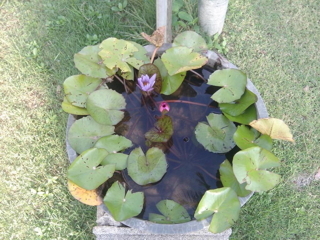 Angel Lanta Bungalow Ko Lanta Εξωτερικό φωτογραφία