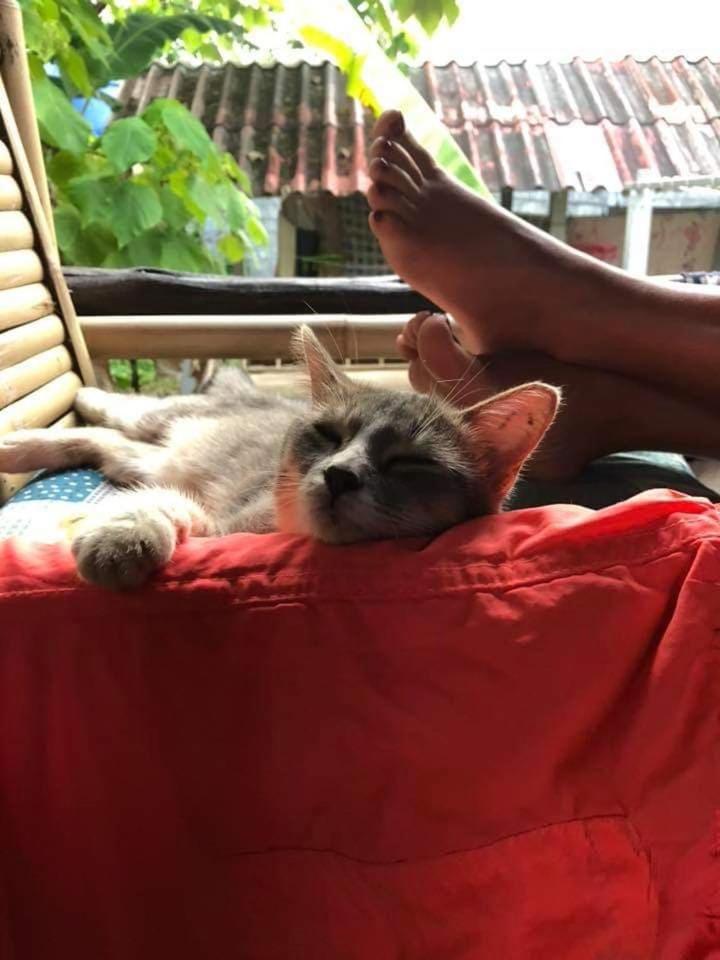 Angel Lanta Bungalow Ko Lanta Εξωτερικό φωτογραφία